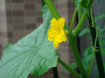 DSC01302.jpg