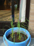 DSC01306.jpg