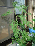 DSC01309.jpg