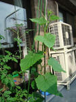 DSC01314.jpg