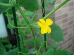 DSC01364.jpg