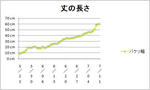 7月11日丈の長さのグラフ