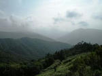 547d9012.jpg