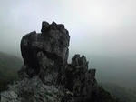 2278235e.jpg