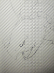 亀