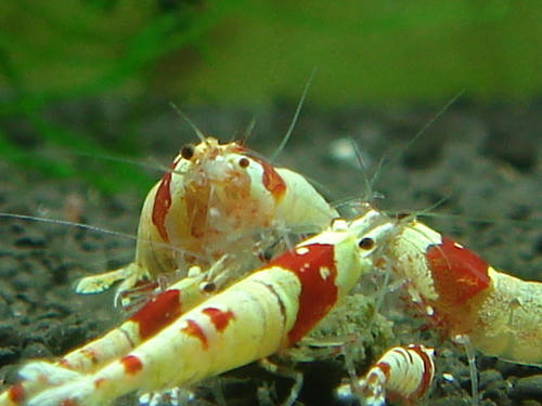 DSC03071.JPG