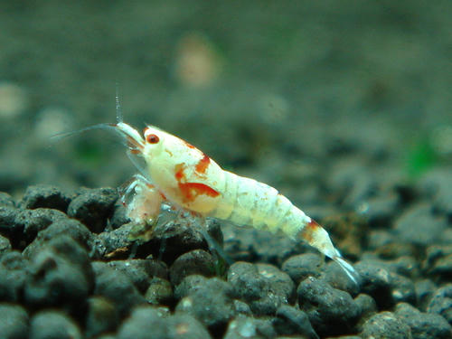 DSC03943.JPG