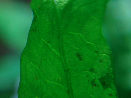043f9378.JPG