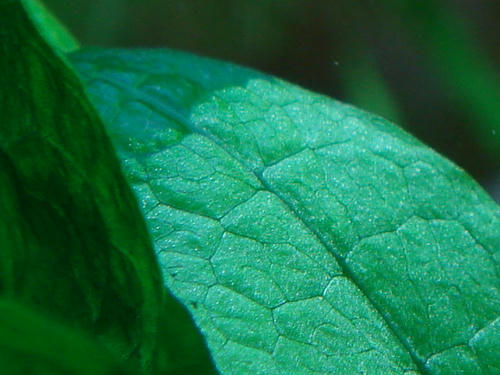 2584f272.JPG