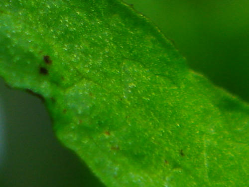 95f3187a.JPG