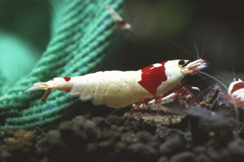 a5913d49.JPG