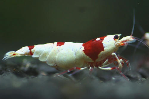 IMG_3859.JPG
