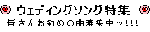 ws.GIF