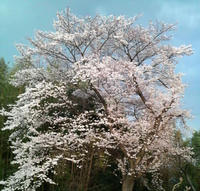 P1000101.JPG