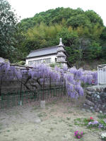 P1000379.JPG