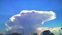 P1000410.jpg