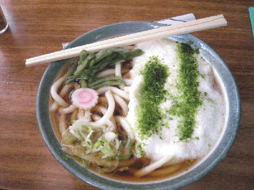 6.gif