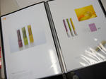 DSCN0773.jpg