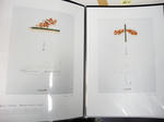 DSCN0771.jpg