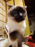 DSCN2344.jpg