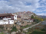 CIMG3630.JPG