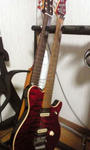 guiter.JPG