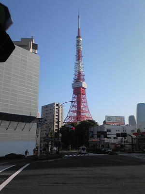 SH350583.JPG