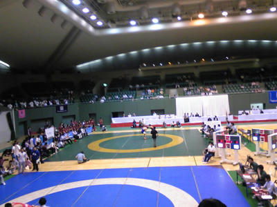 SH350587.JPG