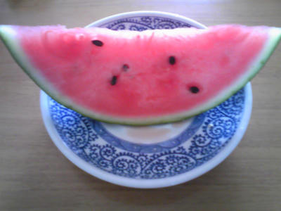 PAP_0725.JPG