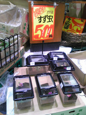 SH350776.JPG