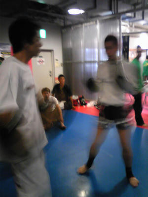 PAP_0804.JPG