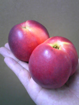 PAP_0797.JPG