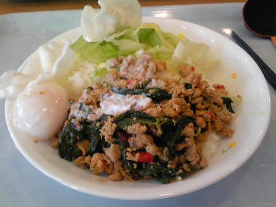 SH350833.JPG