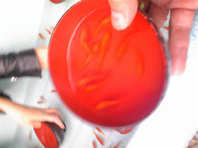 PAP_0242.JPG