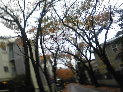 PAP_0379.JPG