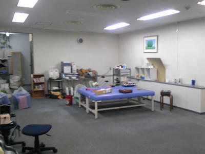 SH350387.JPG