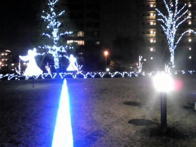 SH350393.JPG