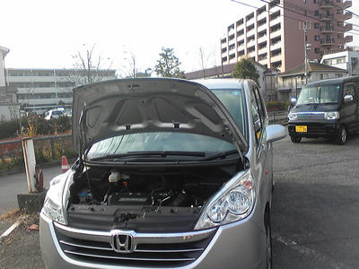 SH350441.JPG
