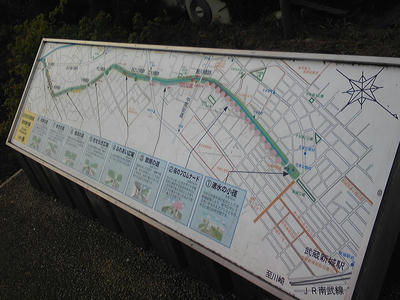 SH350443.JPG
