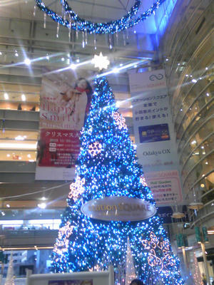 SH350411.JPG