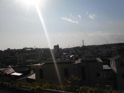 SH350452.JPG