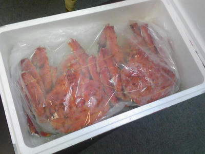 SH350448.JPG