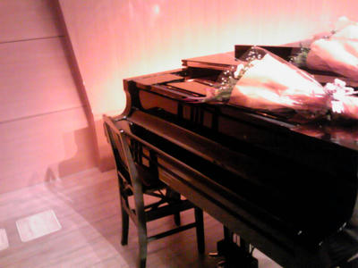 SH350464.JPG