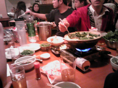 SH350555.JPG