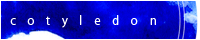 drrr02-banner.gif
