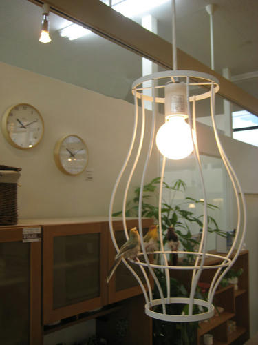 LP-001-3.jpg
