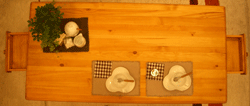 IMGP5103.gif