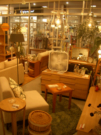 IMGP5451.gif