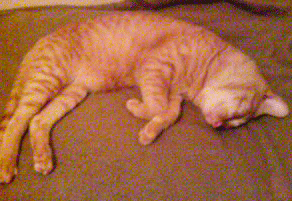 20090628193625.gif