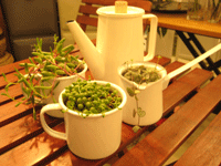 IMG_1353.gif